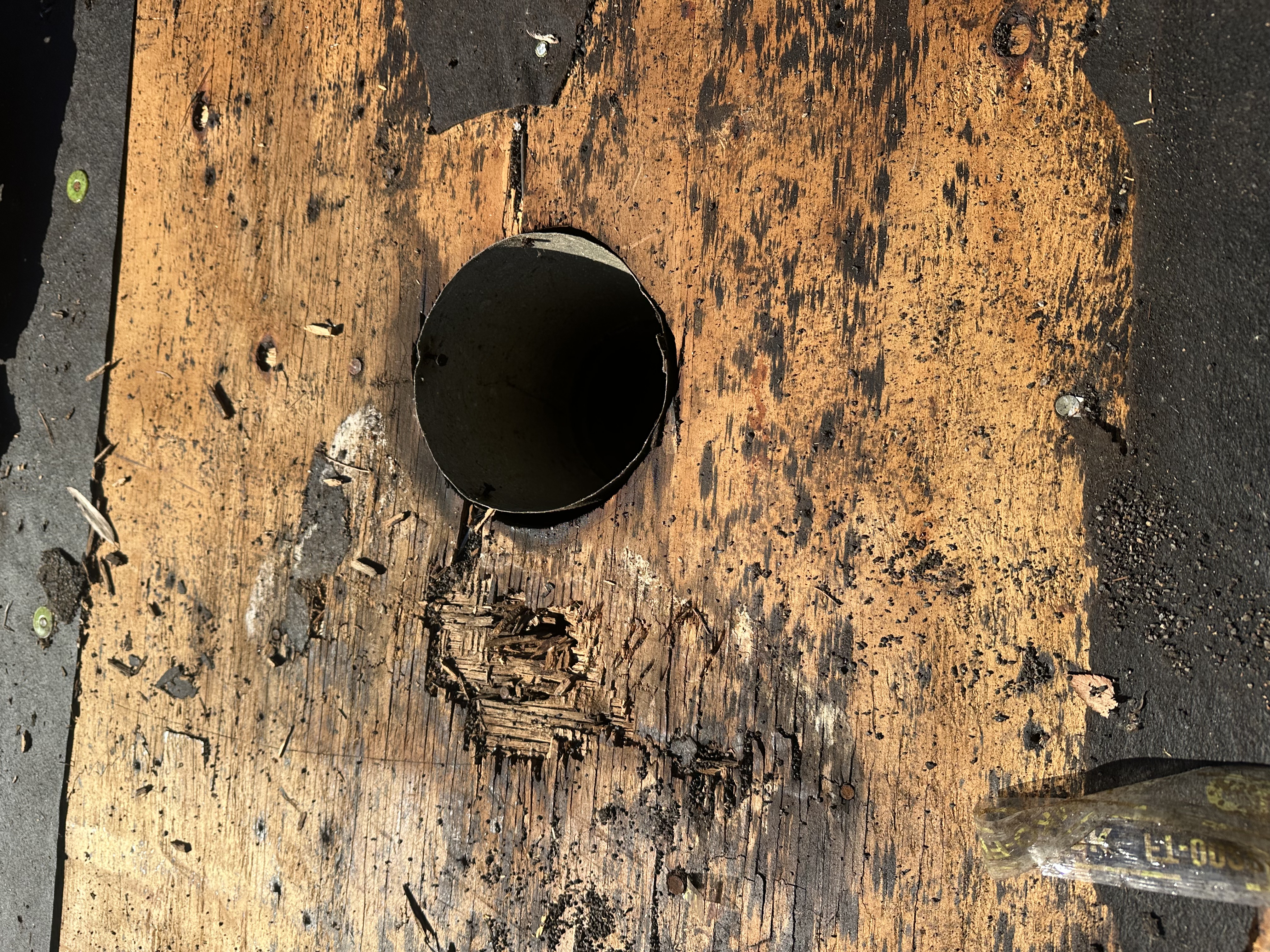 Close-up of roof penetration and roof deck damage showing a condition that may affect roof repair decisions in North Carolina